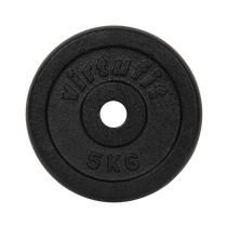 Disques en fonte 30 mm