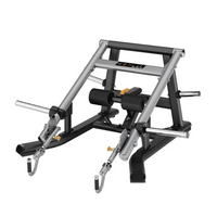 Toorx Professionnel Squat Lunge FWX-9200