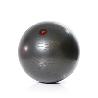 Gymstick Burst Resistant Gym Ball - Ballon de fitness - Avec vidéos d'entraînement en ligne - 65 cm