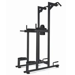 Toorx Professional WBX-B2800 Chin Ups, Dips & Leg Raise - Hoofdafbeelding