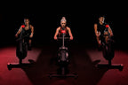 Life Fitness Heat Performance Row Roeitrainer