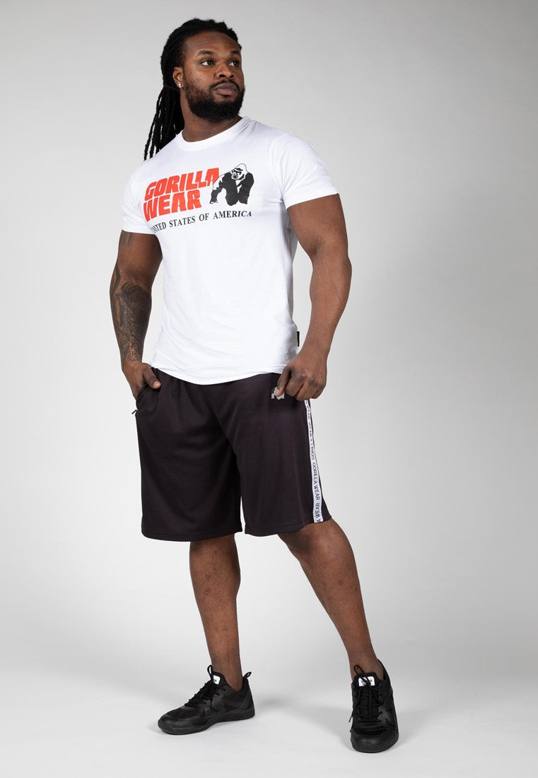 Reydon Mesh Shorts 2.0 - Noir