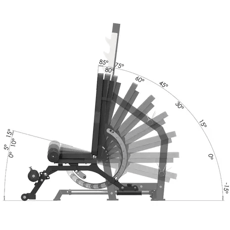 Toorx Professionnel Banc Olympique d'Haltères WBX-3900 - Ajustable
