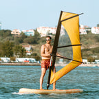 Virtufit Supboard Surfer 305 - Zwart - Inclusief Windzeil en accessoires - Tweedekans