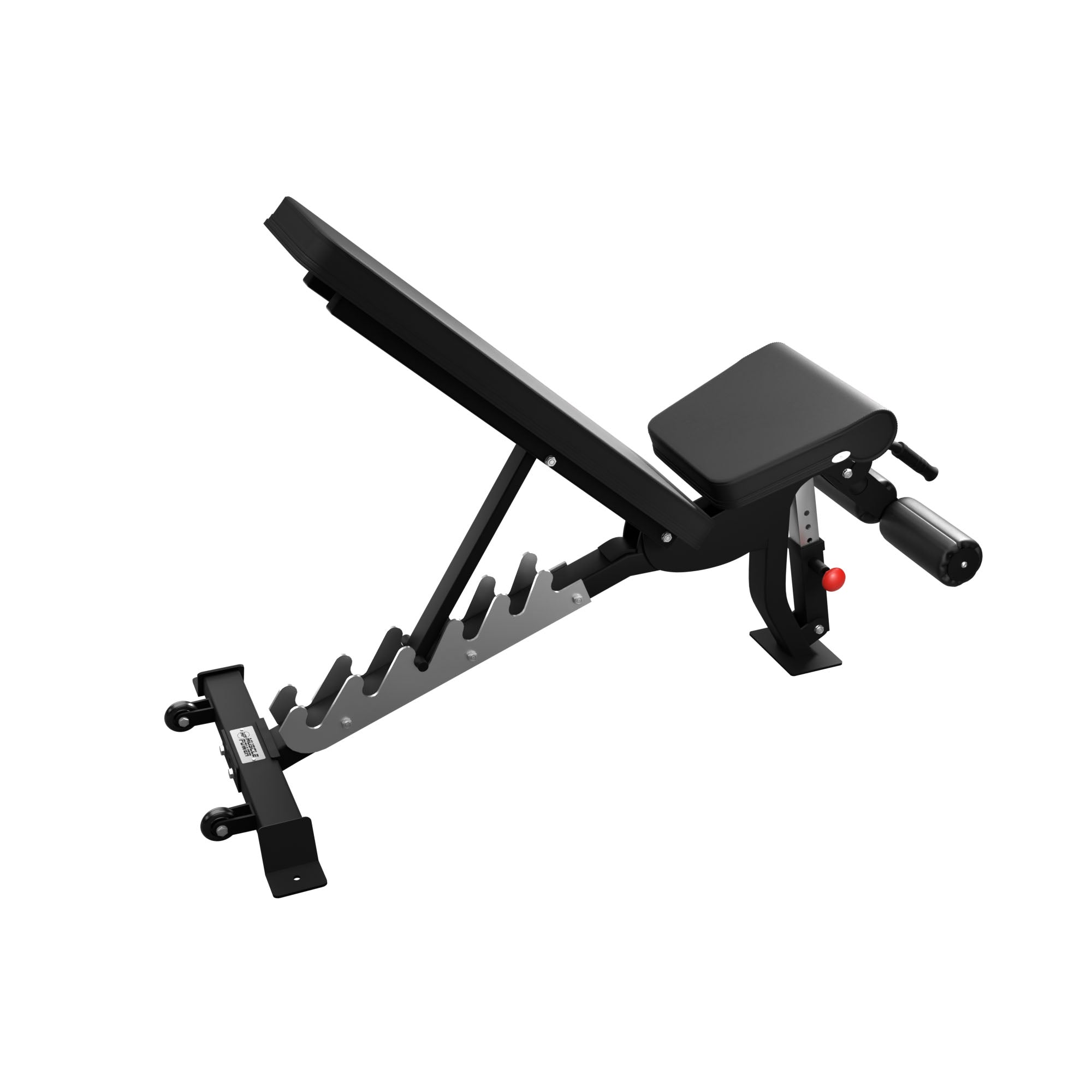 Muscle Power Banc de Musculation Inclinable Déclinable