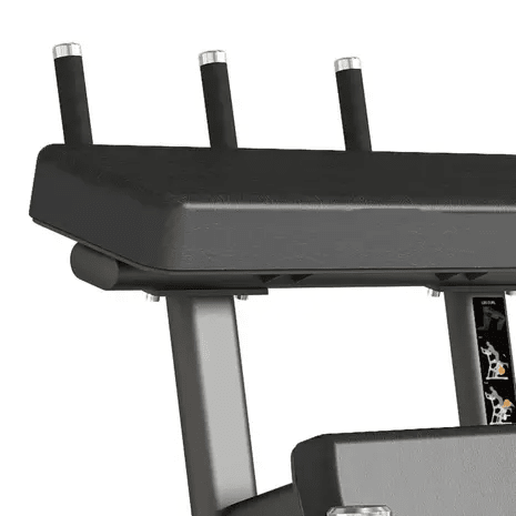 Toorx Professionnel Standing Leg Curl FWX-9500