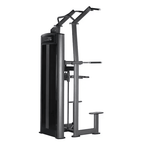 Toorx Professional Assisted Pull Up / Chin Up / Dip