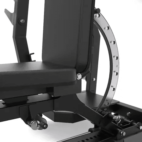 Toorx Professionnel Banc Olympique d'Haltères WBX-3900 - Ajustable