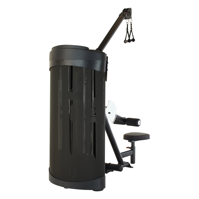 Inspire Maximum DUAL Power Station - Lat et Low Row