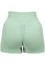 Gorilla Wear Whitney Seamless Shorts - Vert
