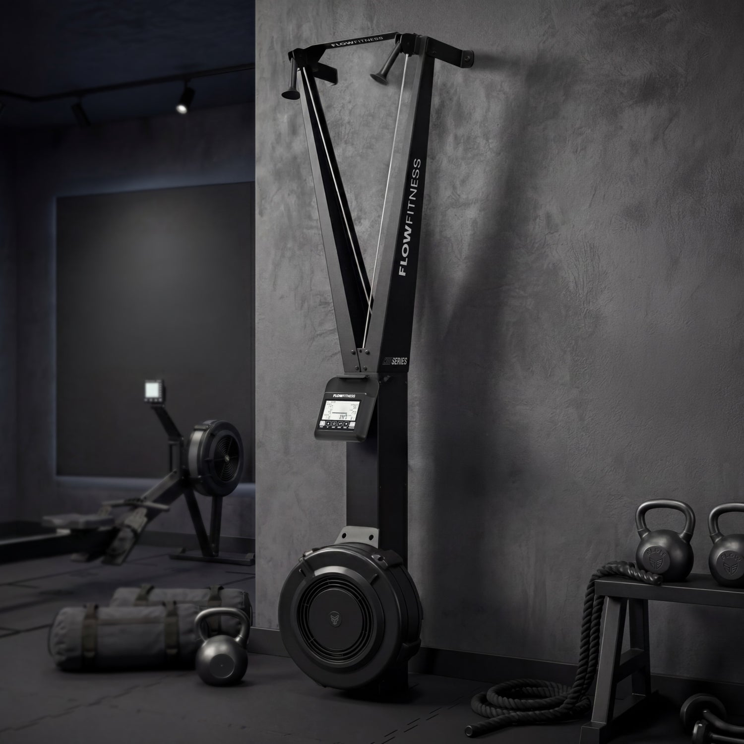 Flow Fitness Perform Pro Ski Trainer