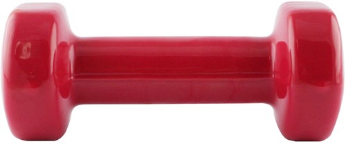HMS Gietijzeren Dumbbell met Vinyl Coating - 2 kg-2