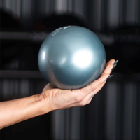 Bosu Toning Ball