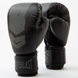 Everlast Prospect 2 Bokshandschoenen Kids - Zwart/Grijs
