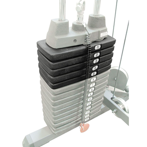 Body-Solid (Powerline) Gewichtstapel voor Body-Solid Krachtstations - 22,5 kg
