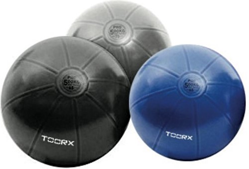 Toorx Fitnessbal Gymbal PRO Donkergrijs - 75 cm