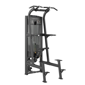 Toorx Professional Assisted Pull-up / Dip Plx-8400