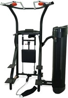 Inspire DUAL Station Chin Up-2
