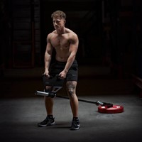 Lifemaxx Crossmaxx Landmine V-handle-3