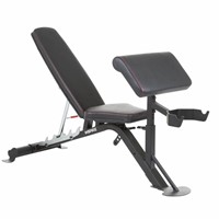 Inspire Banc d'exercice SCS - 450 kg-2