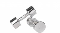 Lifemaxx Chroom Dumbbellset - 2 x 10 kg