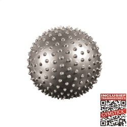 Gymstick Pilates Ball - Avec vidéos d'entraînement en ligne