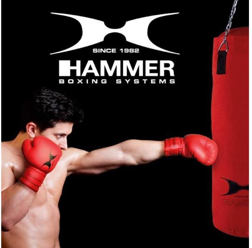 Hammer FIT Boxing - 60 cm Bokszak + 10 oz Bokshandschoenen + DVD | Fitwinkel.be
