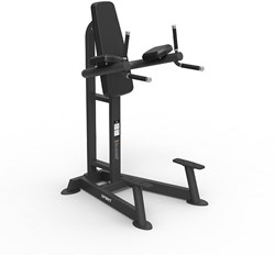 Spirit Fitness Leg Raise, Knee Raise & Dip Station