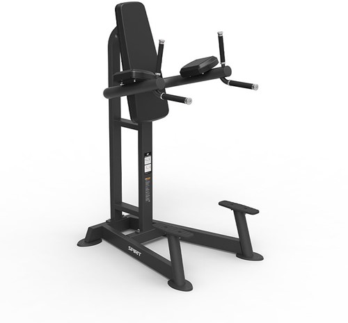 Spirit Fitness Leg Raise, Knee Raise & Dip Station
