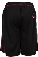 Marlow Mesh Shorts back
