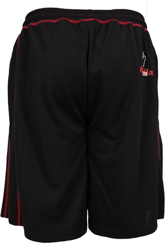 Marlow Mesh Shorts back