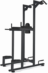 Toorx Professional WBX-B2800 Tractions, Dips & Élévation des Jambes