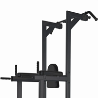 Toorx Professional WBX-B2800 Chin Ups, Dips & Leg Raise-3