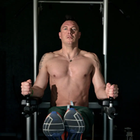 Toorx Professional WBX-B2800 Chin/Dip/Leg Raise Model