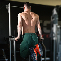 Toorx Professional WBX-B2800 Chin/Dip/Leg Raise Model