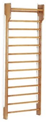 Toorx Single Wallbar - Support mural