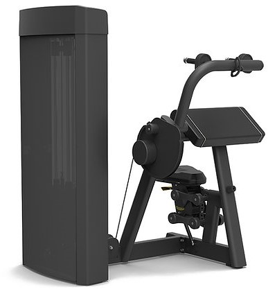 Spirit Fitness Triceps Extension-2
