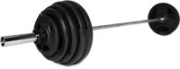 VirtuFit Olympische Gietijzeren Halterset - 170 kg