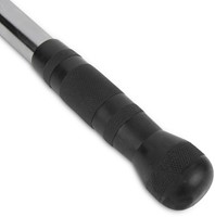 VirtuFit Bicep / Tricep Stang - Straight Bar -1