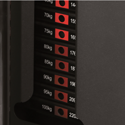 Toorx Professional 1 x 30 kg Extension